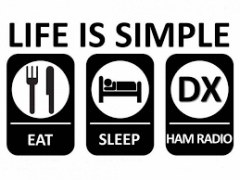 Жизнь проста